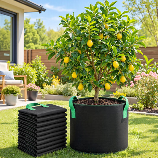 Alona.com.au Home & Garden > Garden Beds > Garden Beds & Planters Green Fingers 20 Gallon Grow Bags 300gsm thick Aeration Fabric Pots 10 Pack