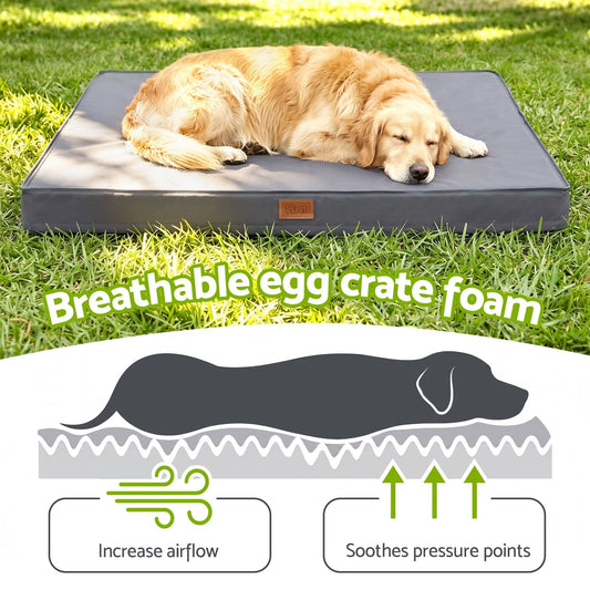 Alona.com.au Pet Care > Dog Supplies > Dog Beds i.Pet Dog Bed XL Water-resistant Egg Crate Foam Orthopedic Pet Mat Grey