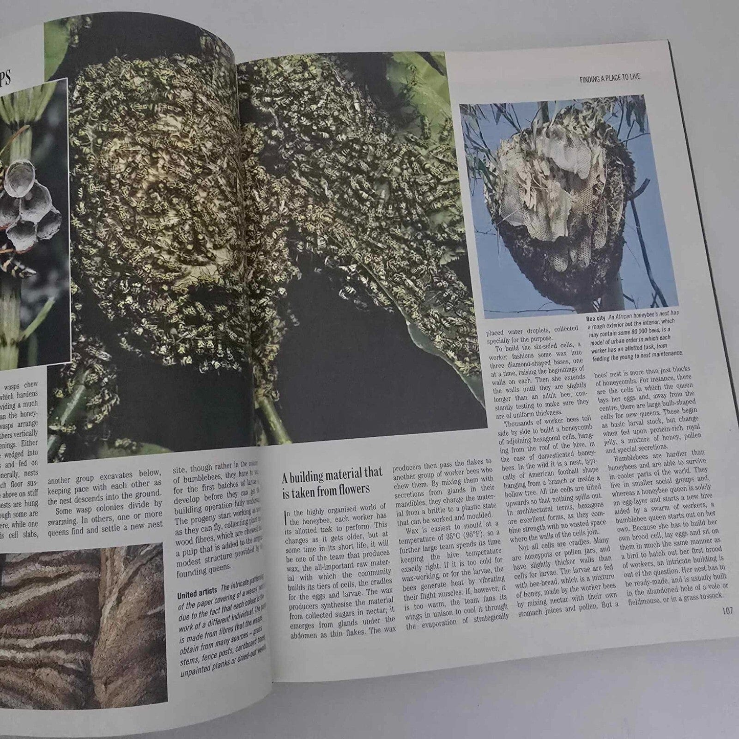 Alona.com.au Reader's Digest Exploring The Secrets of Nature, The Amazing World of Animals ..