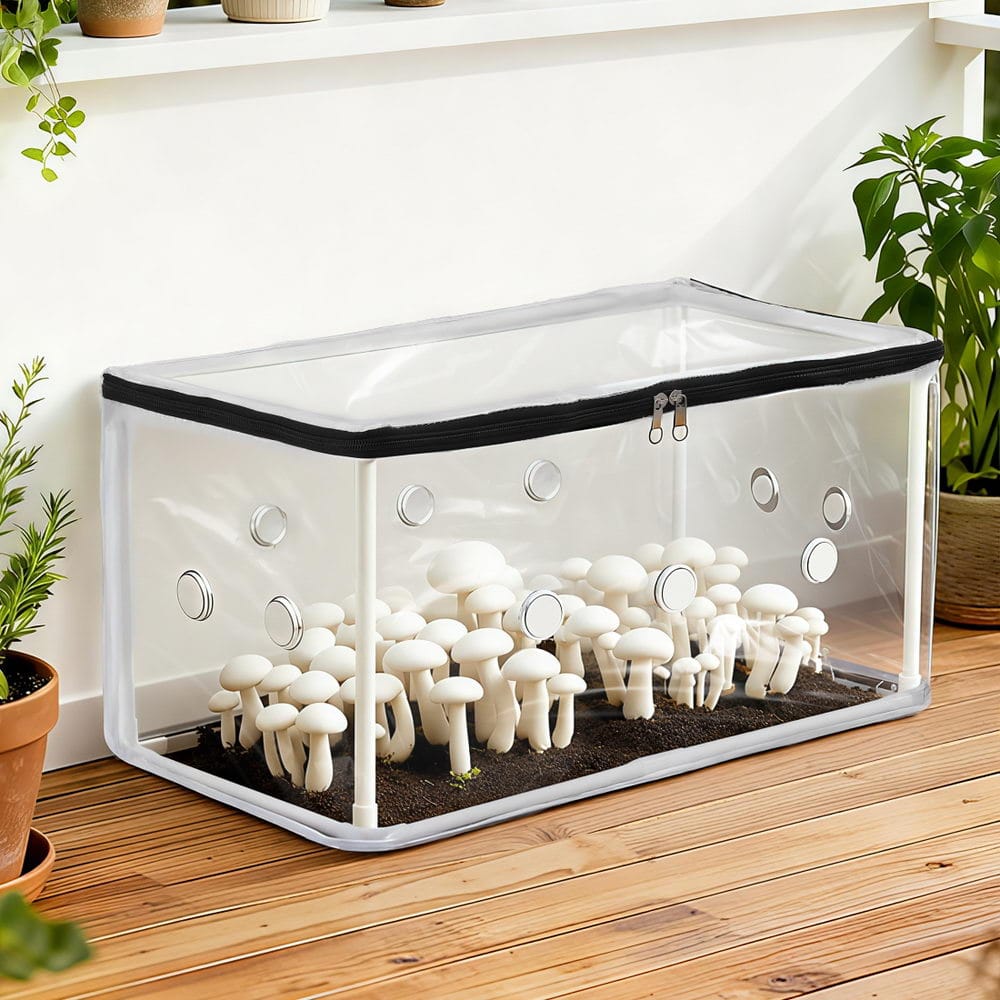 Green Fingers Home & Garden > Greenhouses > Greenhouses & Accessories Green Fingers Mini Greenhouse 50x25x25cm PVC Cover for Mushrooms Succulents