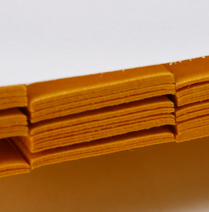 80 Strips Alkaline Acid Indicator Paper Universal Litmus PH Test Paper Aquarium