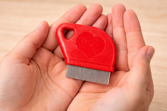 Mini Flea Comb Pet Care Cats Dogs Grooming Detangler Stainless Steel Bristles