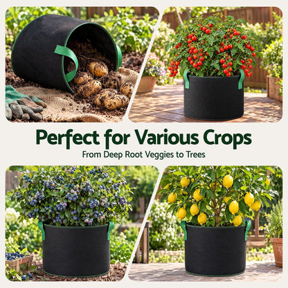 Alona.com.au Home & Garden > Garden Beds > Garden Beds & Planters Green Fingers 15 Gallon Grow Bags 300gsm thick Aeration Fabric Pots 10 Pack