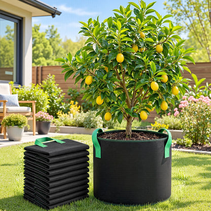 Alona.com.au Home & Garden > Garden Beds > Garden Beds & Planters Green Fingers 20 Gallon Grow Bags 300gsm thick Aeration Fabric Pots 10 Pack