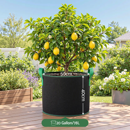 Alona.com.au Home & Garden > Garden Beds > Garden Beds & Planters Green Fingers 20 Gallon Grow Bags 300gsm thick Aeration Fabric Pots 10 Pack
