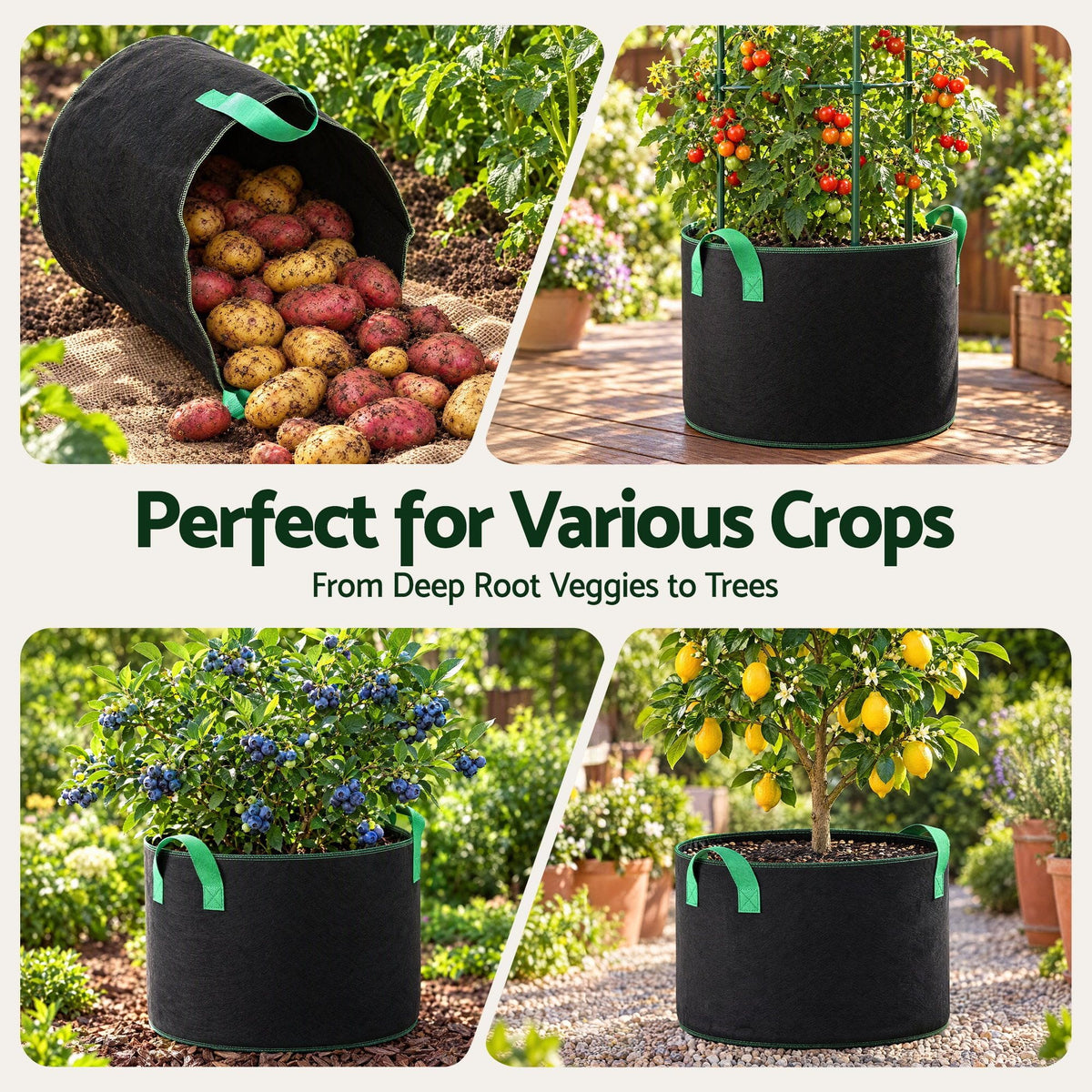 Alona.com.au Home & Garden > Garden Beds > Garden Beds & Planters Green Fingers 20 Gallon Grow Bags 300gsm thick Aeration Fabric Pots 10 Pack