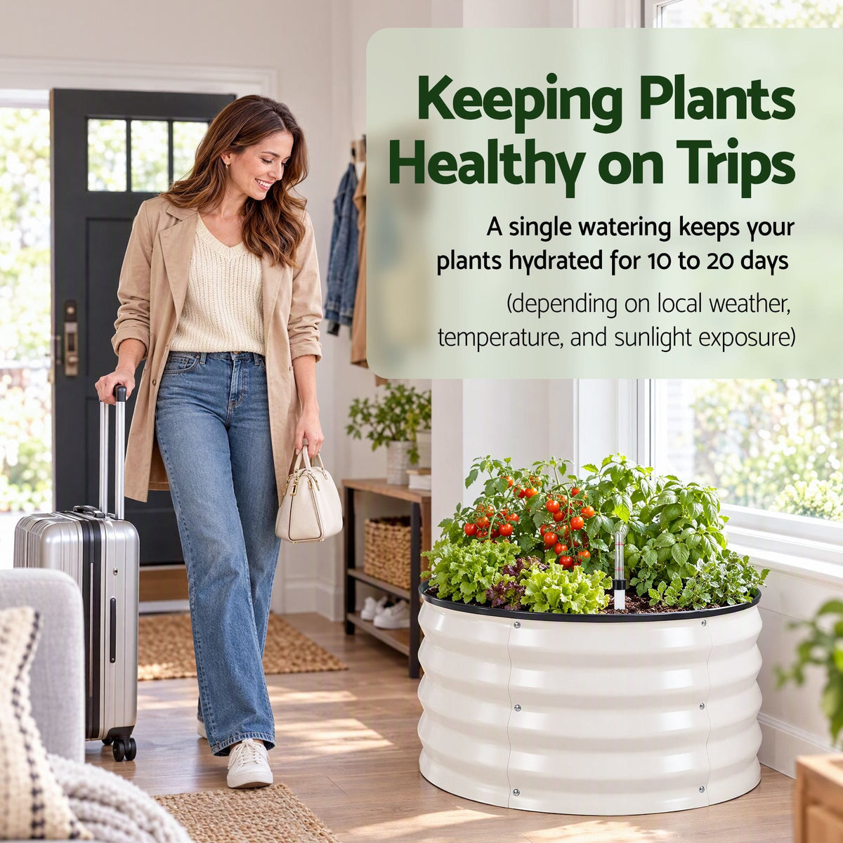 Alona.com.au Home & Garden > Garden Beds > Garden Beds & Planters Green Fingers Self Watering Round Garden Bed Galvanised for Balcony Deck 60x60x30cm