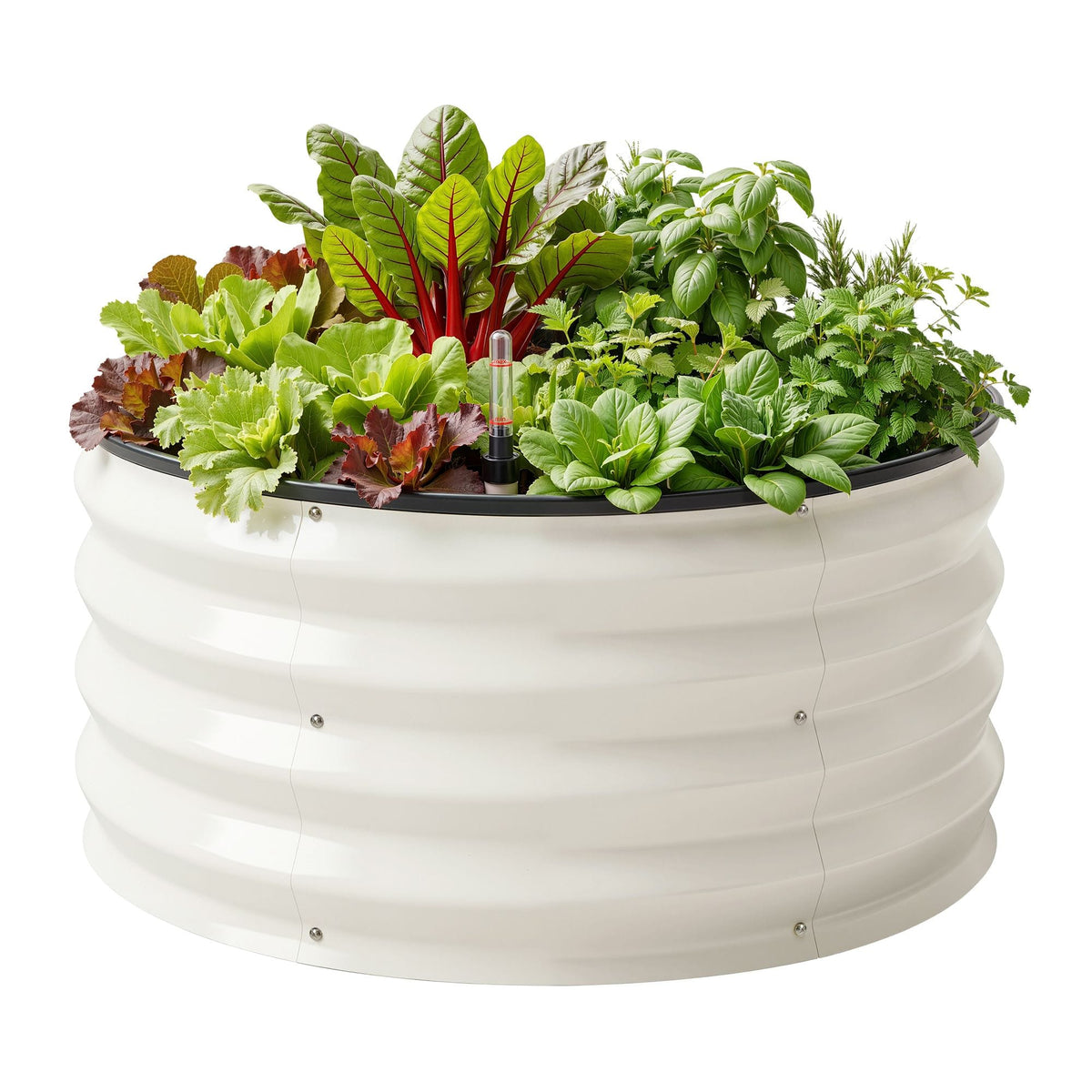 Alona.com.au Home & Garden > Garden Beds > Garden Beds & Planters Green Fingers Self Watering Round Garden Bed Galvanised for Balcony Deck 60x60x30cm