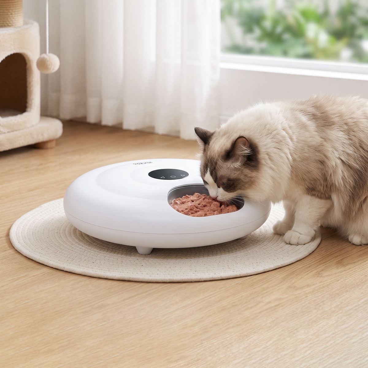 i.Pet Pet Care > Cat Supplies > Cat Bowls, Feeders & Waterers i.Pet Automatic Cat Feeder Wet & Dry Food 6 Compartments Per 150ml WiFi White