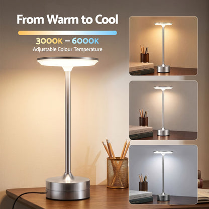 Alona.com.au Home & Garden > Lighting > Table Lamps Artiss Silver Touch Table Lamp, Warm to Cool White LED, Dimmable 3000-6000K 24 LEDs, Type-C