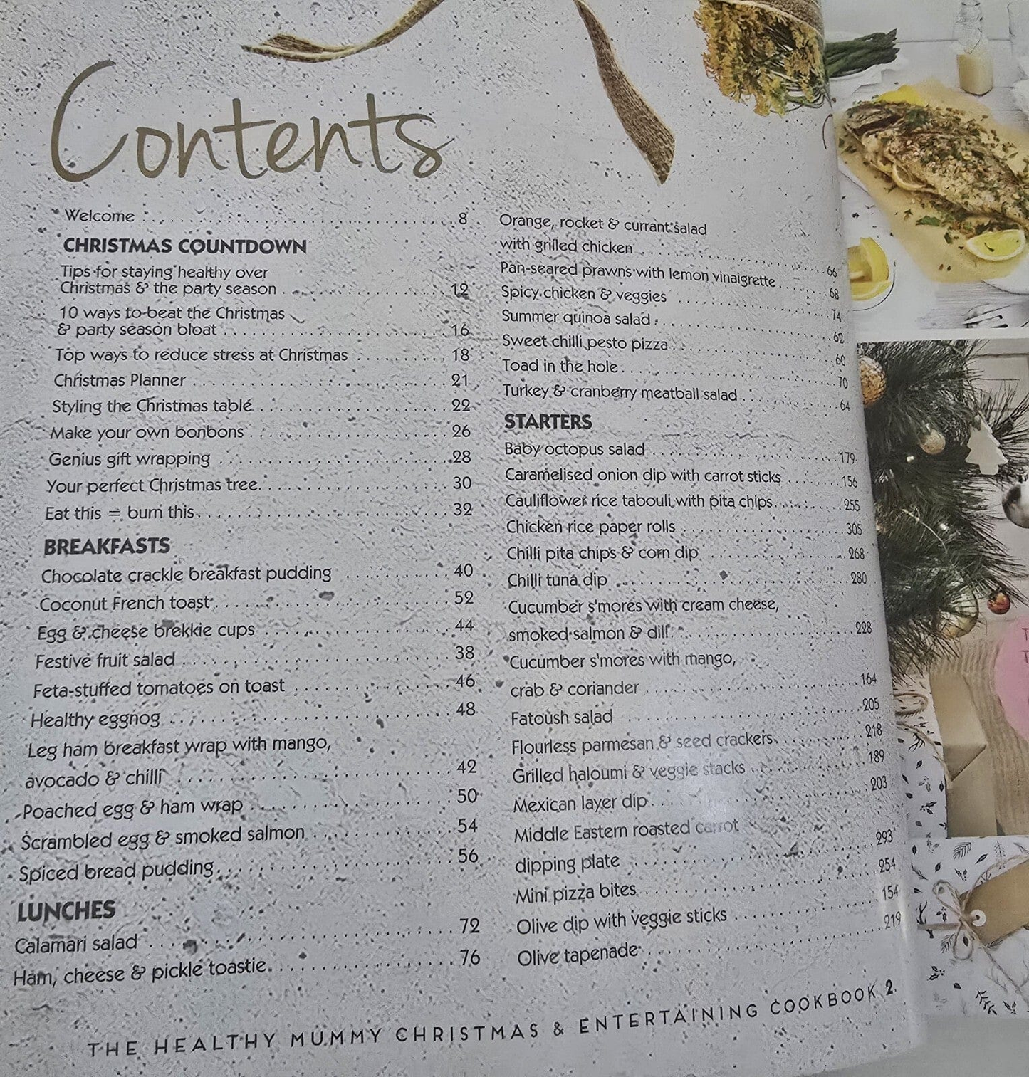 Alona.com.au 150+ Christmas & Entertaining  Cookbook The Healthy Mummy Festive Recipes