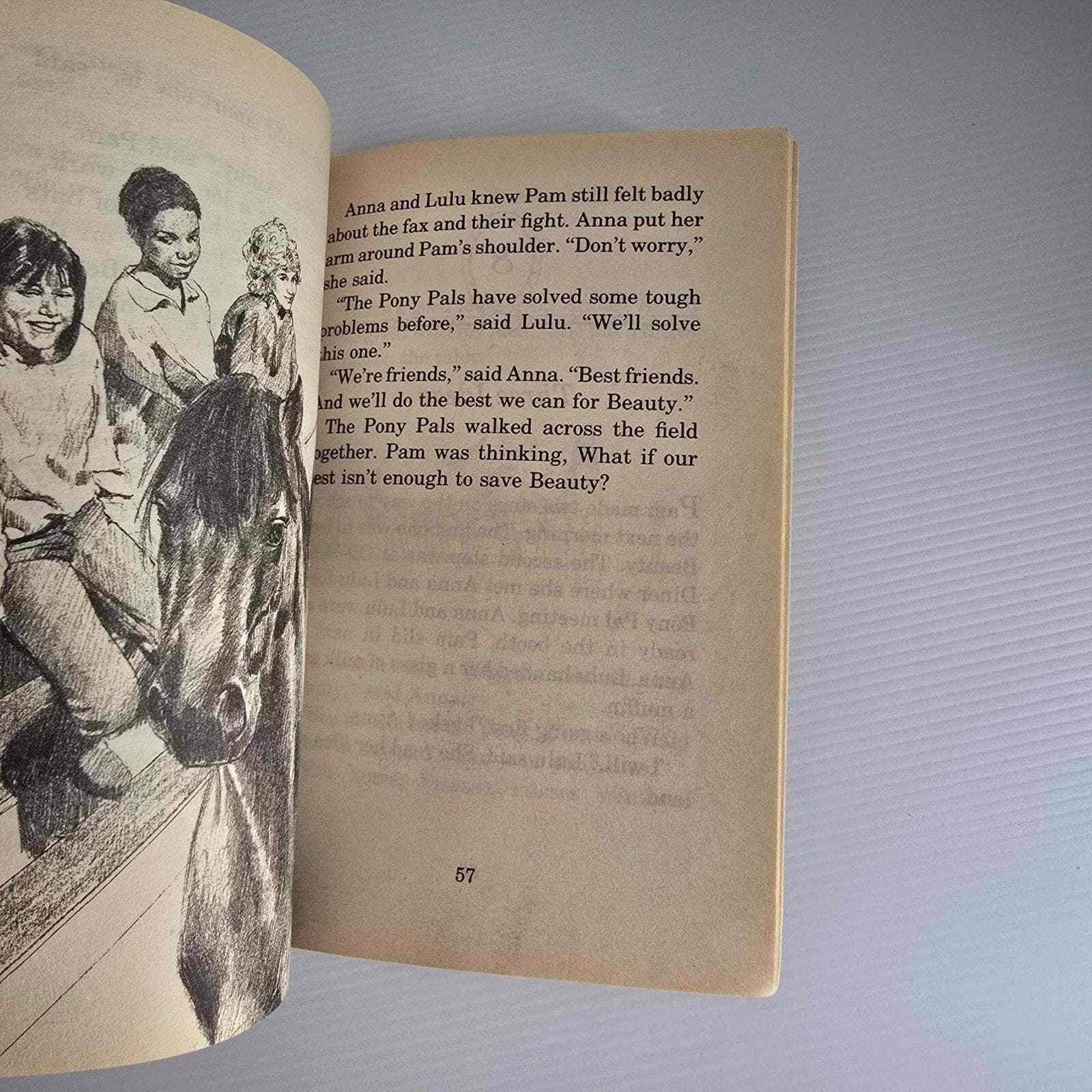 Alona.com.au 2x Pony Pals Series -The Wild Pony - Pony to the Rescue - Paperback - Jeanne Bet