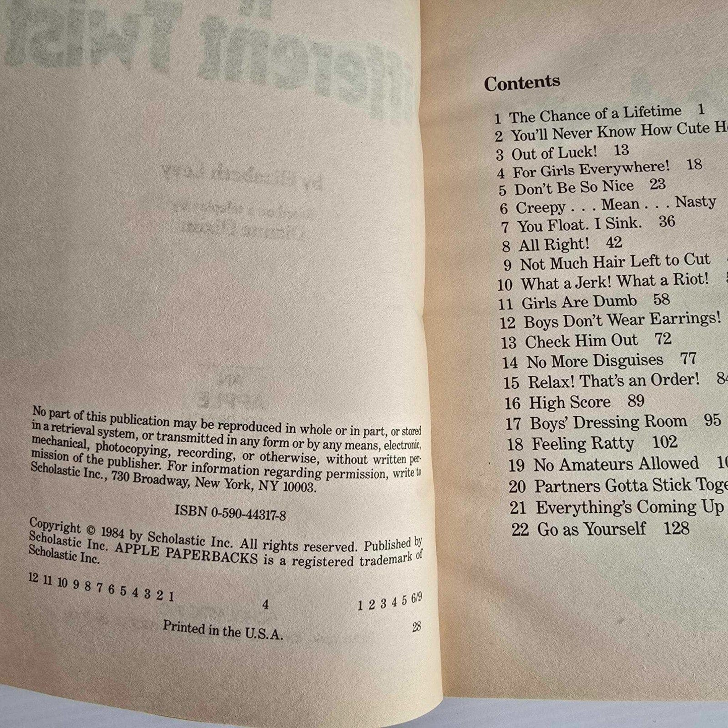 Alona.com.au A Different Twist by Elizabeth Levy, Paperback 1984