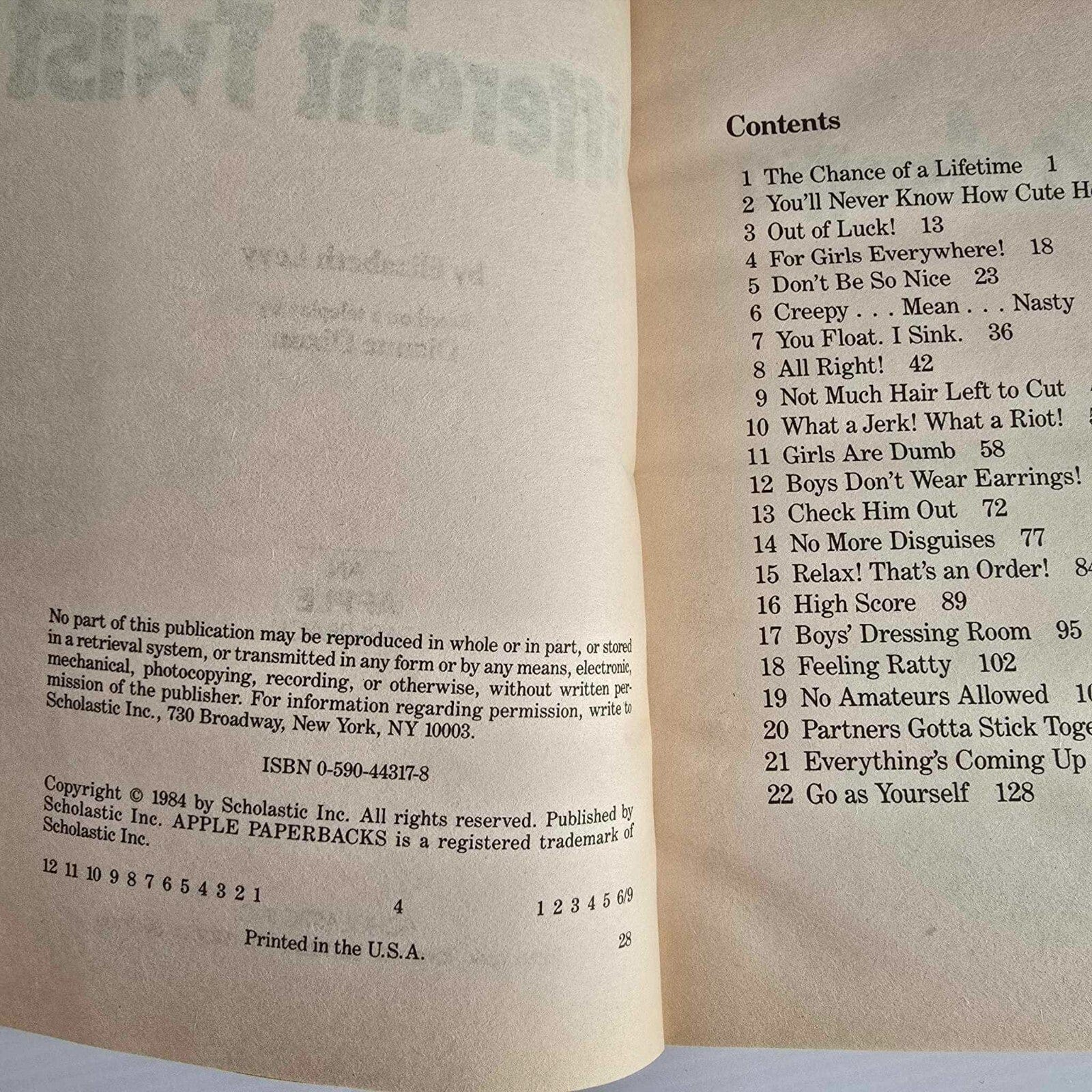 Alona.com.au A Different Twist by Elizabeth Levy, Paperback 1984