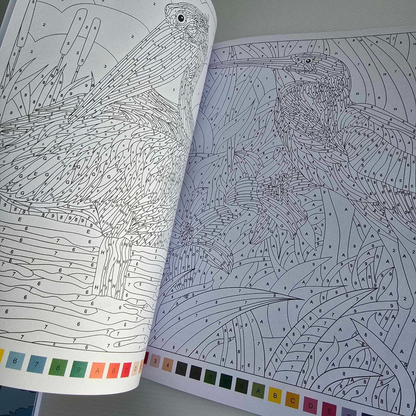 Alona.com.au Adult Colour by Numbers Book  A4 Fun Relaxing Mindfulness Anti Stress Creativity