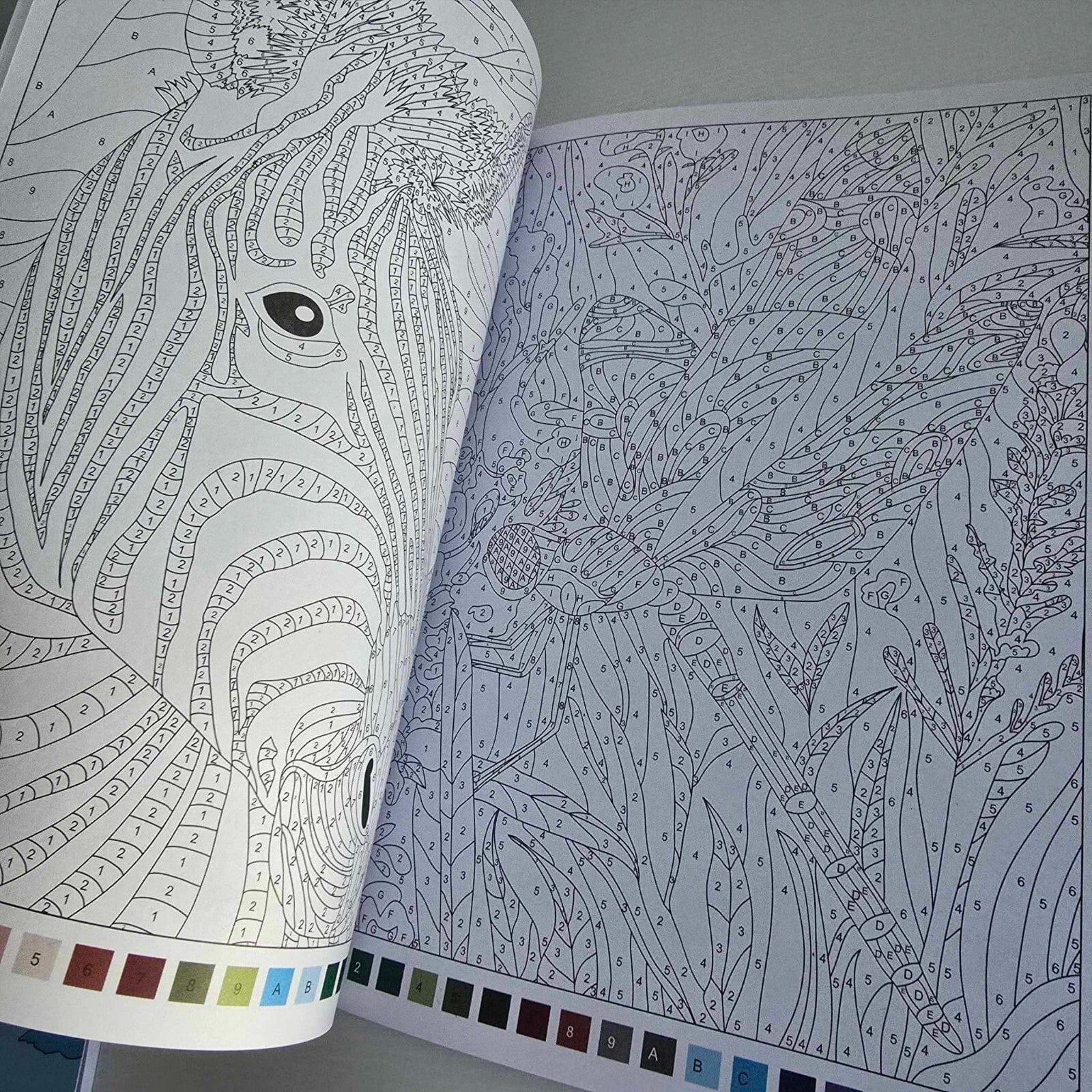 Alona.com.au Adult Colour by Numbers Book  A4 Fun Relaxing Mindfulness Anti Stress Creativity