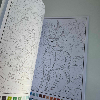 Alona.com.au Adult Colour by Numbers Book  A4 Fun Relaxing Mindfulness Anti Stress Creativity