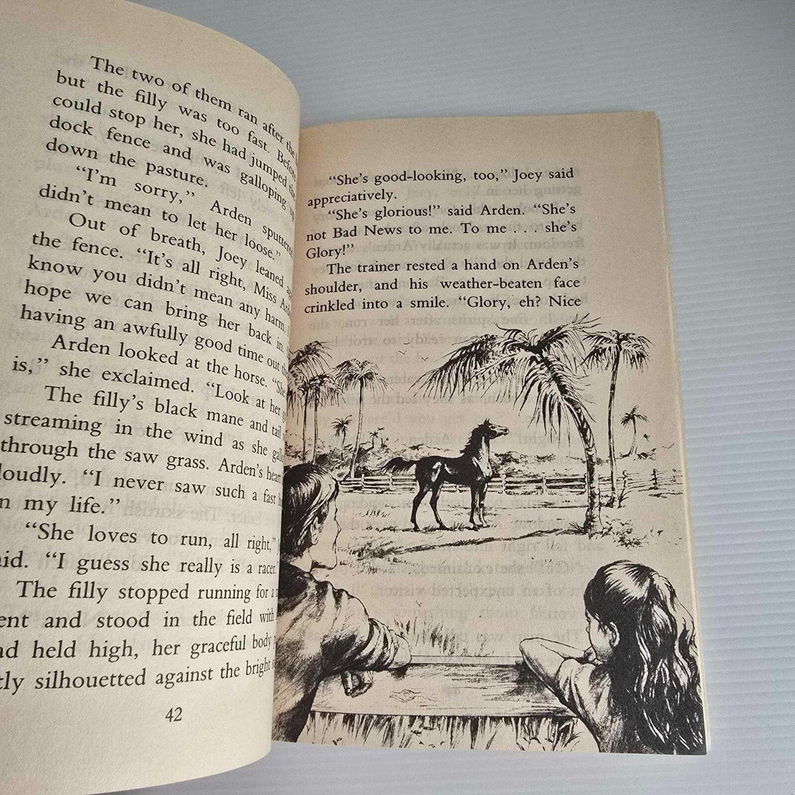 Alona.com.au Animal Rescue Farm #1 The Stolen Horse by Sharon M. Hart, Paperback 1988