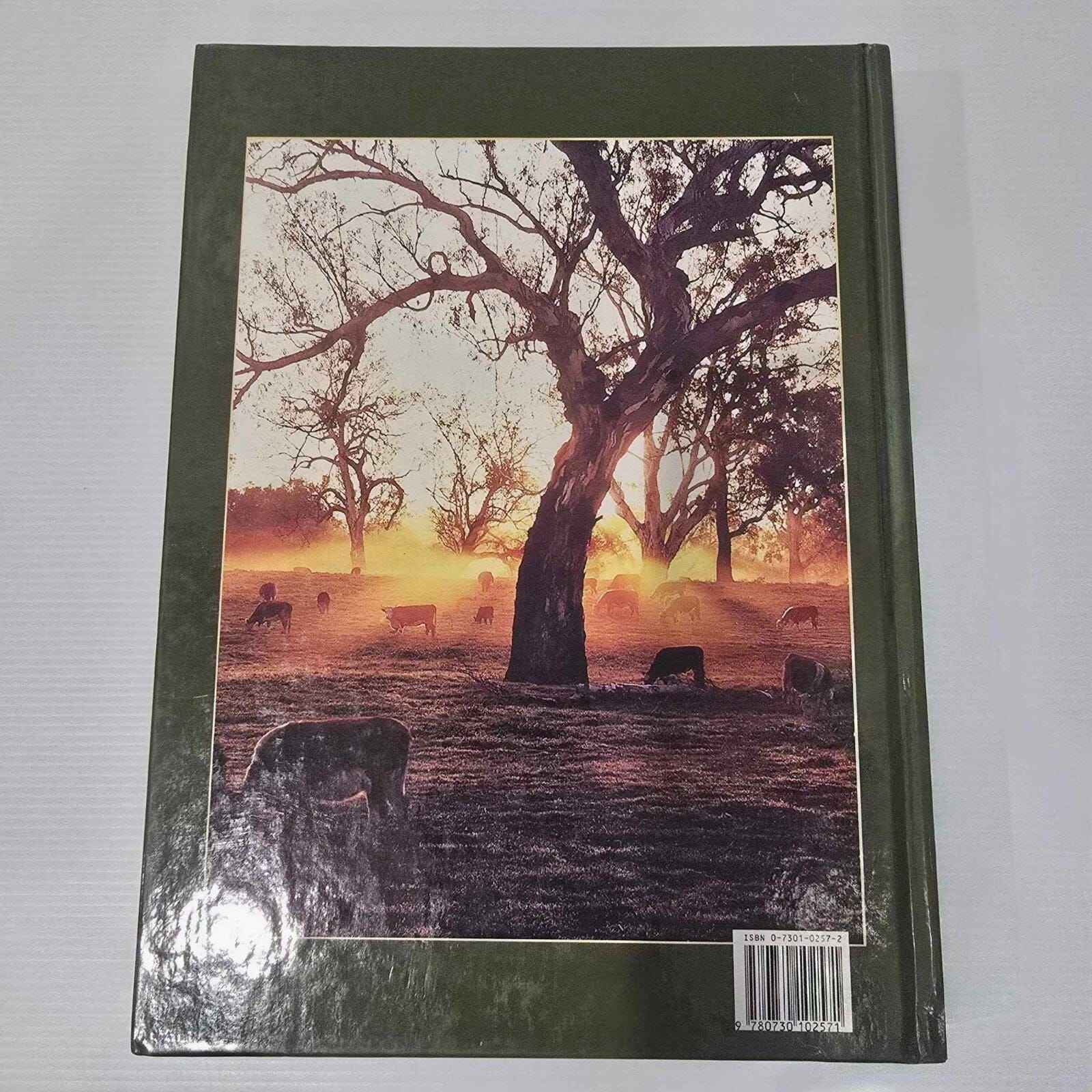 Alona.com.au Banjo Paterson's Images of Australia - Photograph by Douglass Baglin