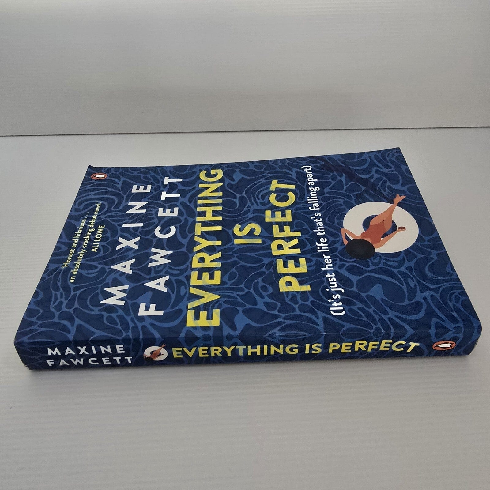 Alona.com.au Everything is Perfect: It's just her life that's falling apart by Maxine Fawcett