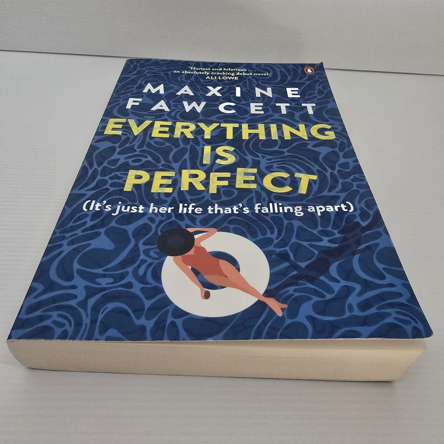 Alona.com.au Everything is Perfect: It's just her life that's falling apart by Maxine Fawcett