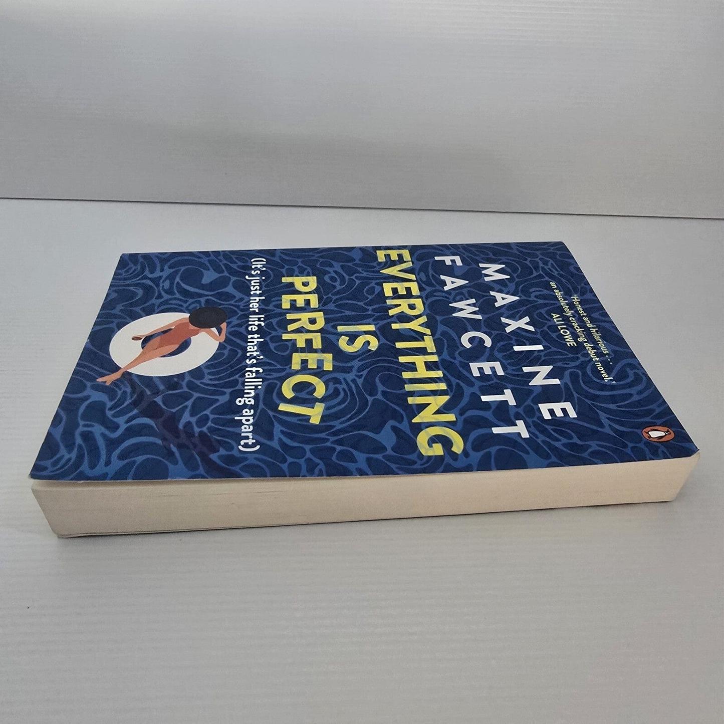 Alona.com.au Everything is Perfect: It's just her life that's falling apart by Maxine Fawcett