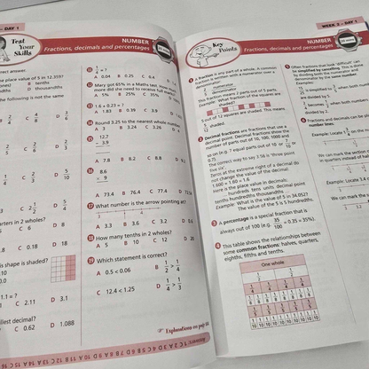 Alona.com.au Excel Year 5 NAPLAN*-style Tests by Alan Horsfield & Allyn Jones Paperback, 2012