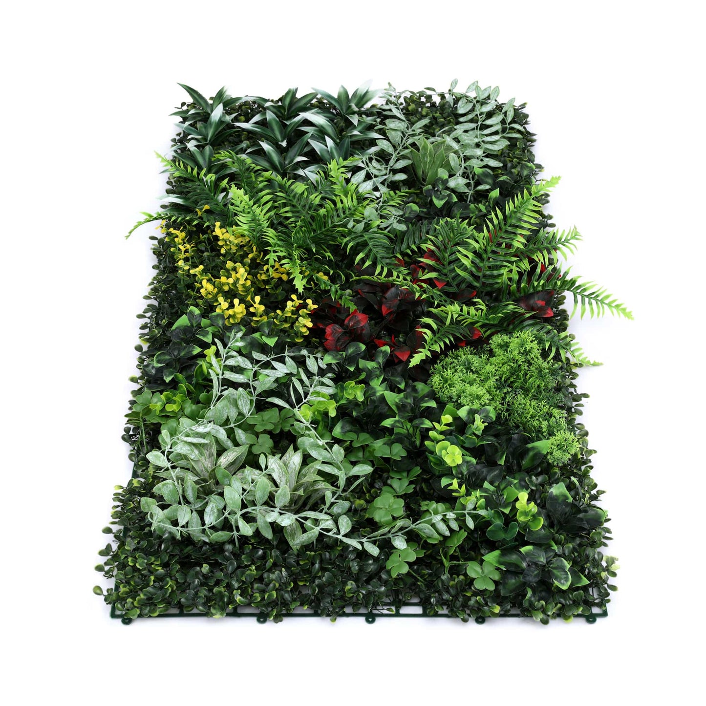 Alona.com.au Home & Garden > Artificial Plants > Artificial Wall Plants Gardeon Artificial Plant Wall Panels 50X100CM Boxwood Panel Hedge Grass Backdrop Backyard Green Decor