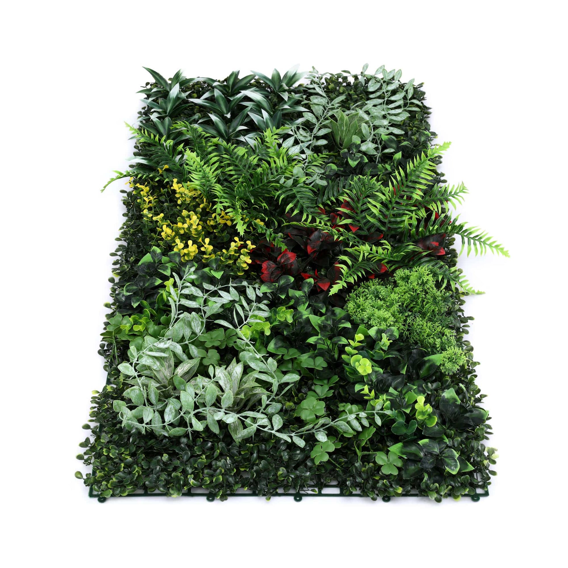 Alona.com.au Home & Garden > Artificial Plants > Artificial Wall Plants Gardeon Artificial Plant Wall Panels 50X100CM Boxwood Panel Hedge Grass Backdrop Backyard Green Decor
