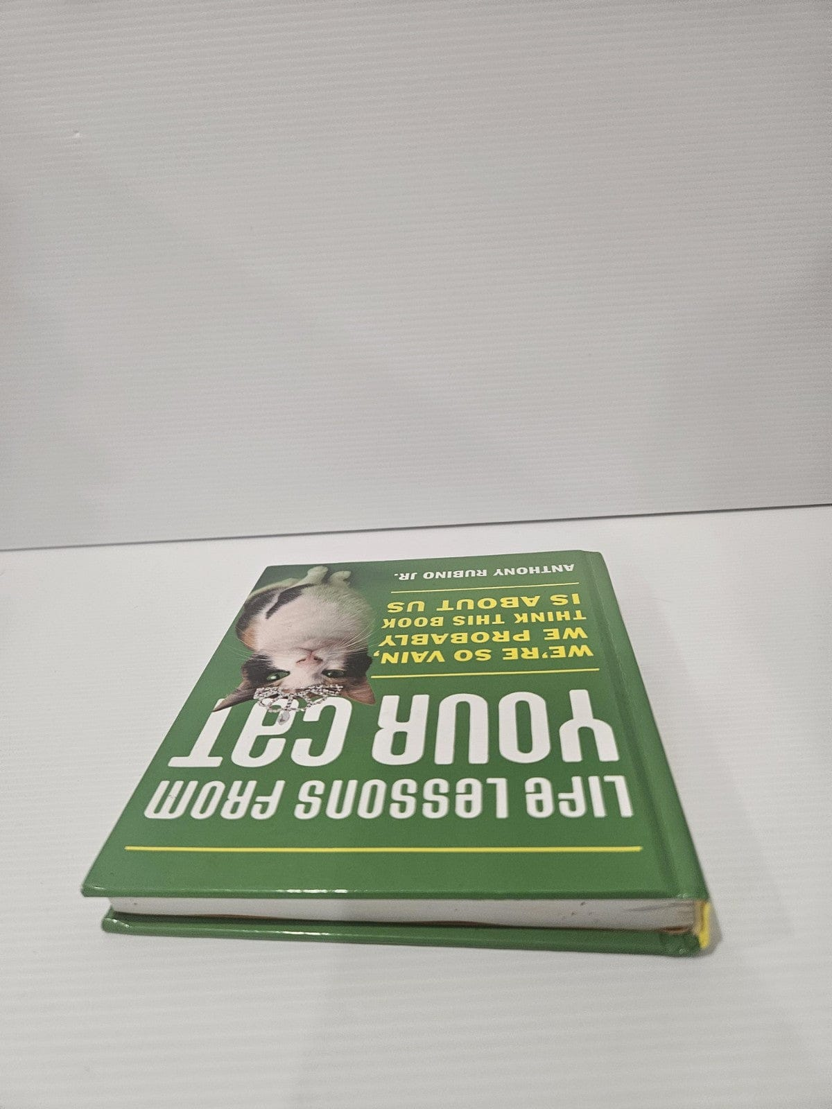 Alona.com.au Life Lessons from Your Cat: We're So Vain, We Probably Think This Book Is about