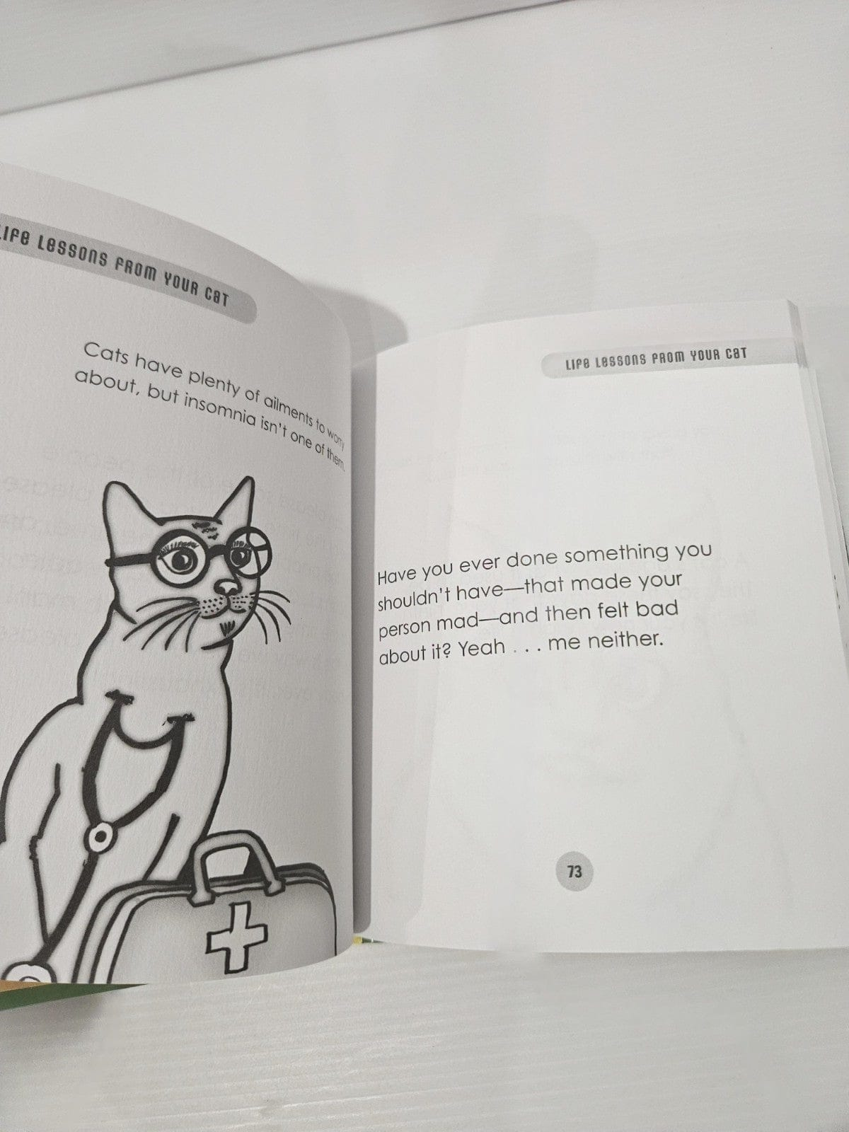 Alona.com.au Life Lessons from Your Cat: We're So Vain, We Probably Think This Book Is about