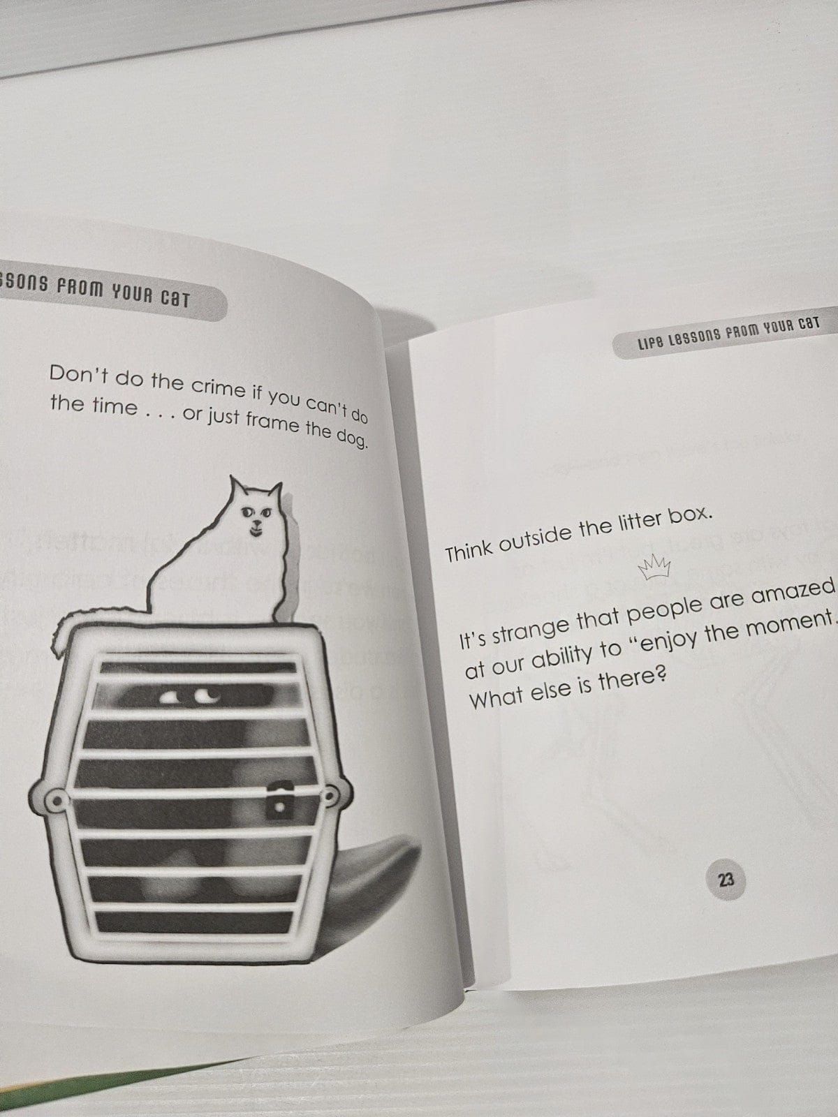 Alona.com.au Life Lessons from Your Cat: We're So Vain, We Probably Think This Book Is about