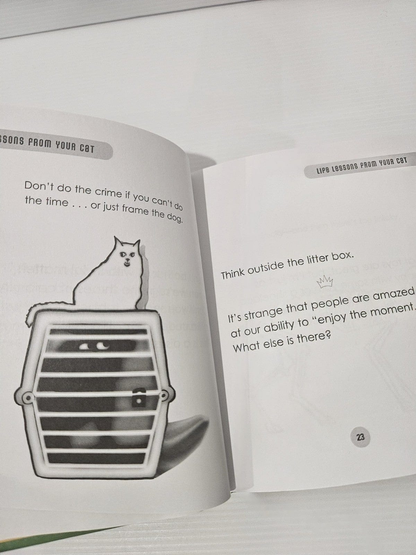 Alona.com.au Life Lessons from Your Cat: We're So Vain, We Probably Think This Book Is about
