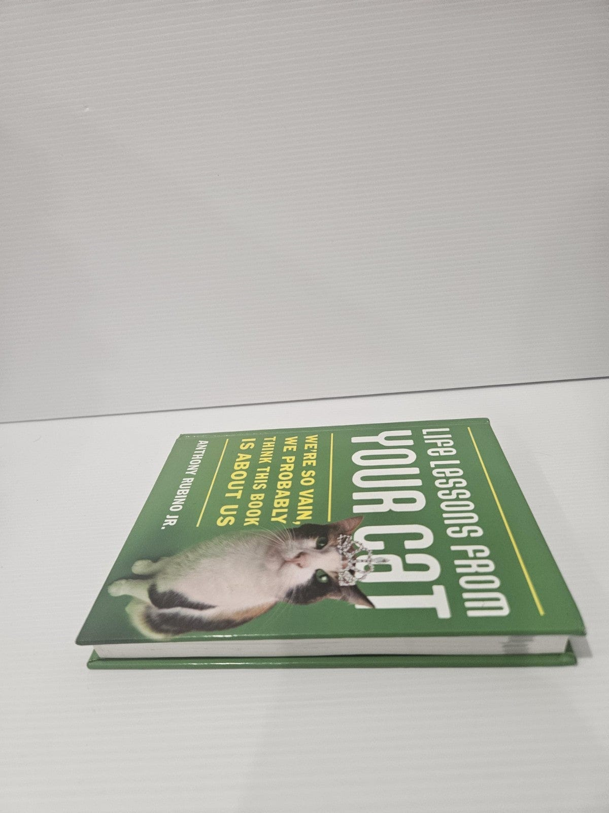Alona.com.au Life Lessons from Your Cat: We're So Vain, We Probably Think This Book Is about