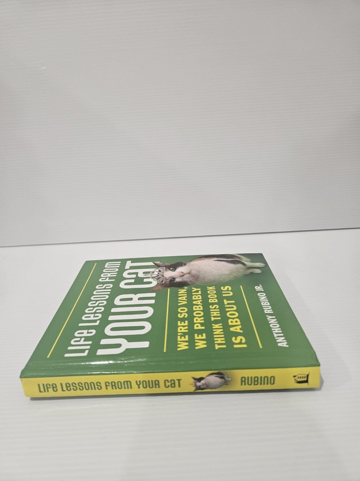 Alona.com.au Life Lessons from Your Cat: We're So Vain, We Probably Think This Book Is about