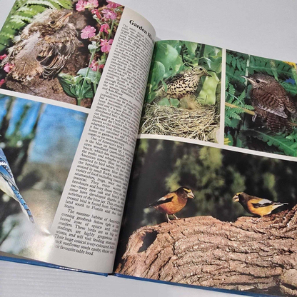 Alona.com.au Nature Series: BIRDS by Bruce Coleman - Hardcover