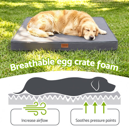 Alona.com.au Pet Care > Dog Supplies > Dog Beds i.Pet Dog Bed Large Water-resistant Egg Crate Foam Orthopedic Pet Mat Grey
