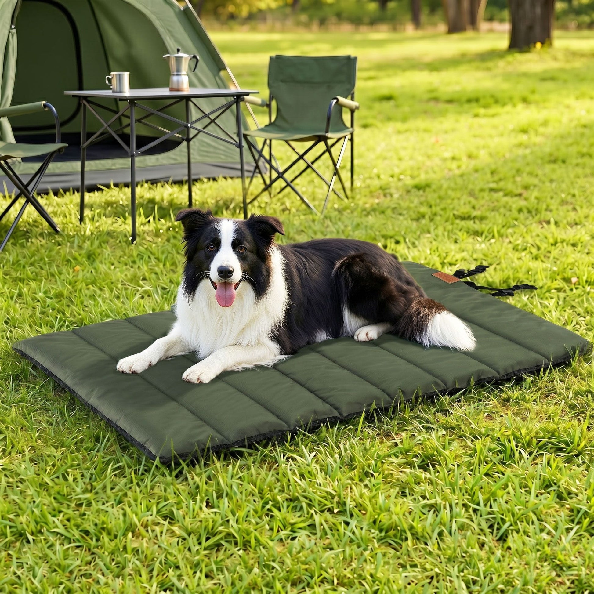 Alona.com.au Pet Care > Dog Supplies > Dog Beds i.Pet Outdoor Dog Bed Large Water-resistant Washable Foldable Travel Dog Mat Green