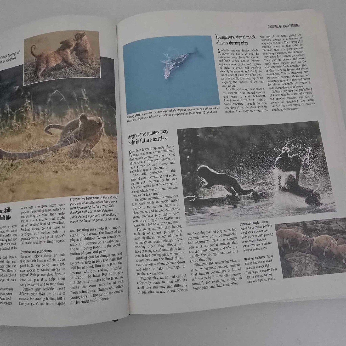 Alona.com.au Reader's Digest Exploring The Secrets of Nature, The Amazing World of Animals ..