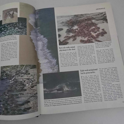 Alona.com.au Reader's Digest Exploring The Secrets of Nature, The Amazing World of Animals ..