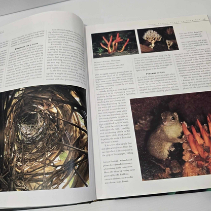 Alona.com.au Reader's Digest - Mysteries of the Rain Forest - HARDCOVER Book