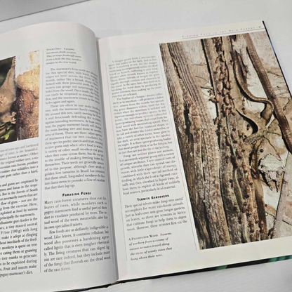 Alona.com.au Reader's Digest - Mysteries of the Rain Forest - HARDCOVER Book