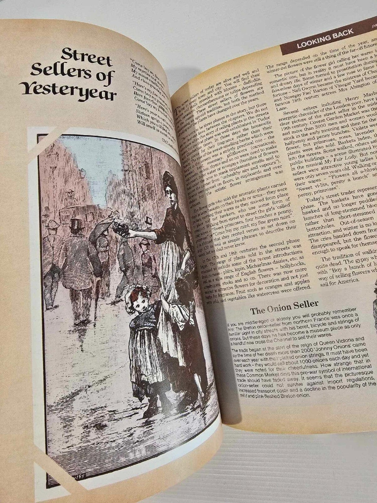Alona.com.au The Armchair Book of the Garden by Dr. D.G. Hessayon 1986
