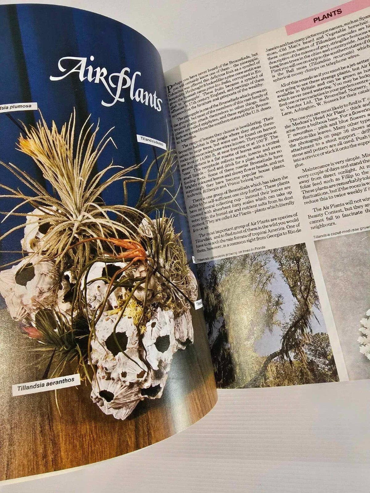 Alona.com.au The Armchair Book of the Garden by Dr. D.G. Hessayon 1986