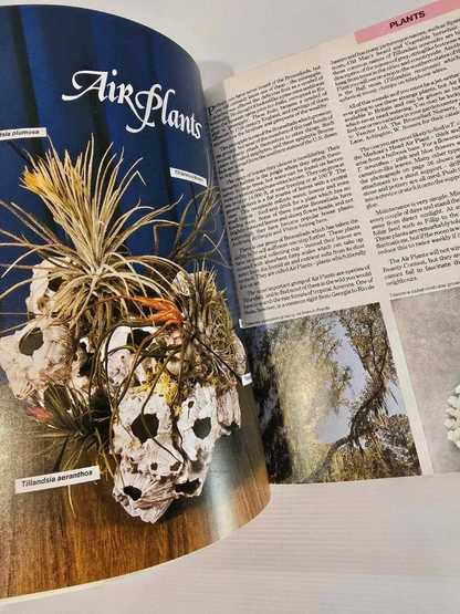 Alona.com.au The Armchair Book of the Garden by Dr. D.G. Hessayon 1986