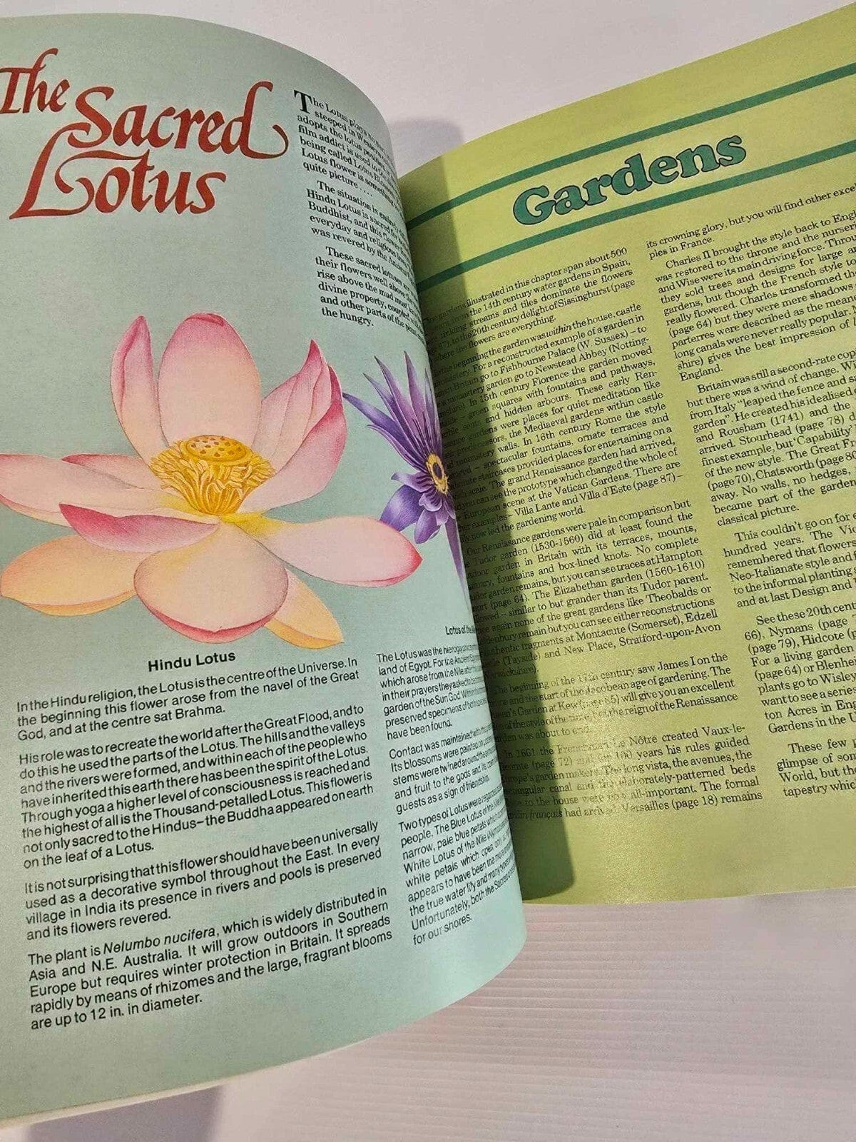 Alona.com.au The Armchair Book of the Garden by Dr. D.G. Hessayon 1986