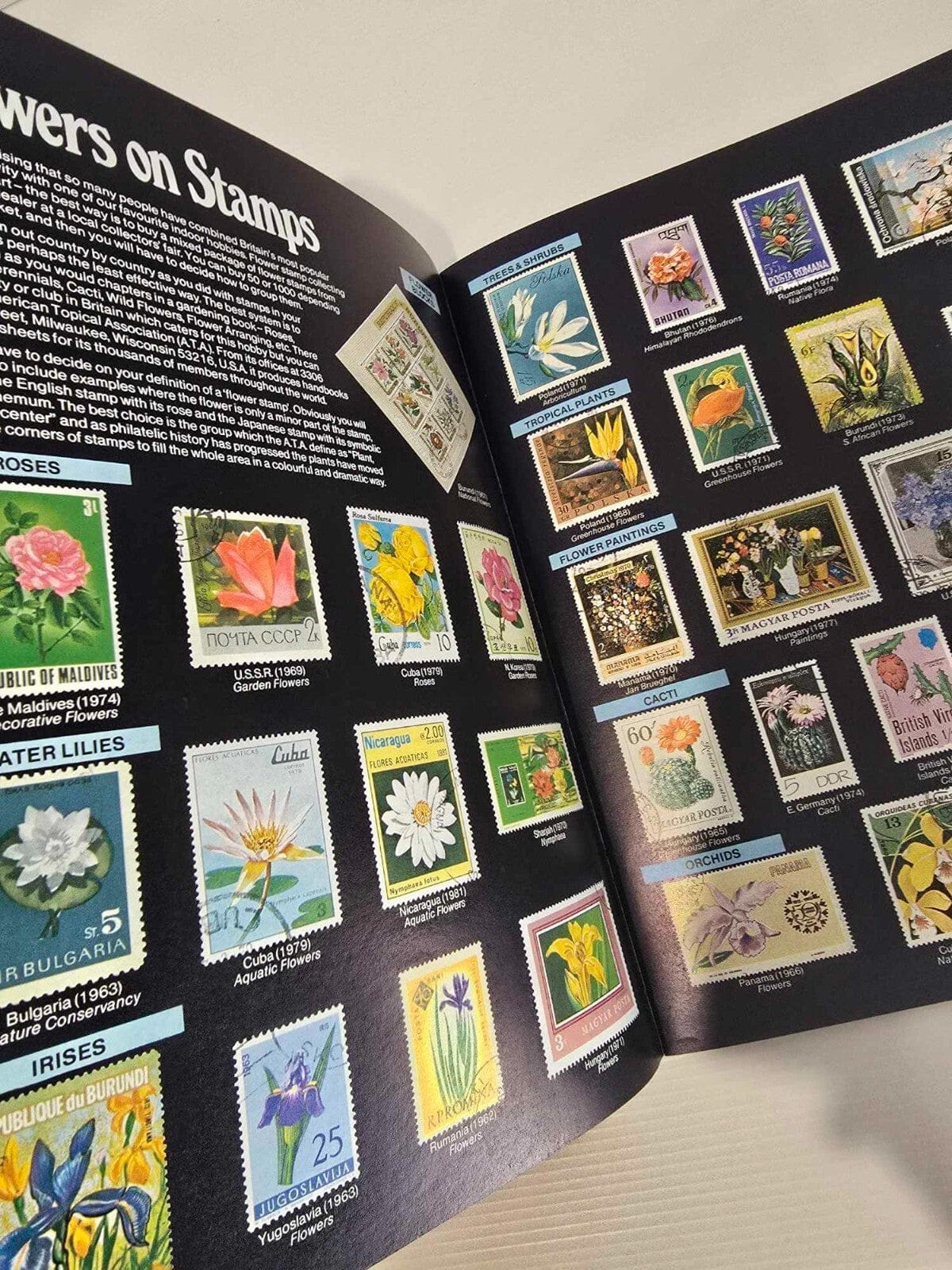 Alona.com.au The Armchair Book of the Garden by Dr. D.G. Hessayon 1986