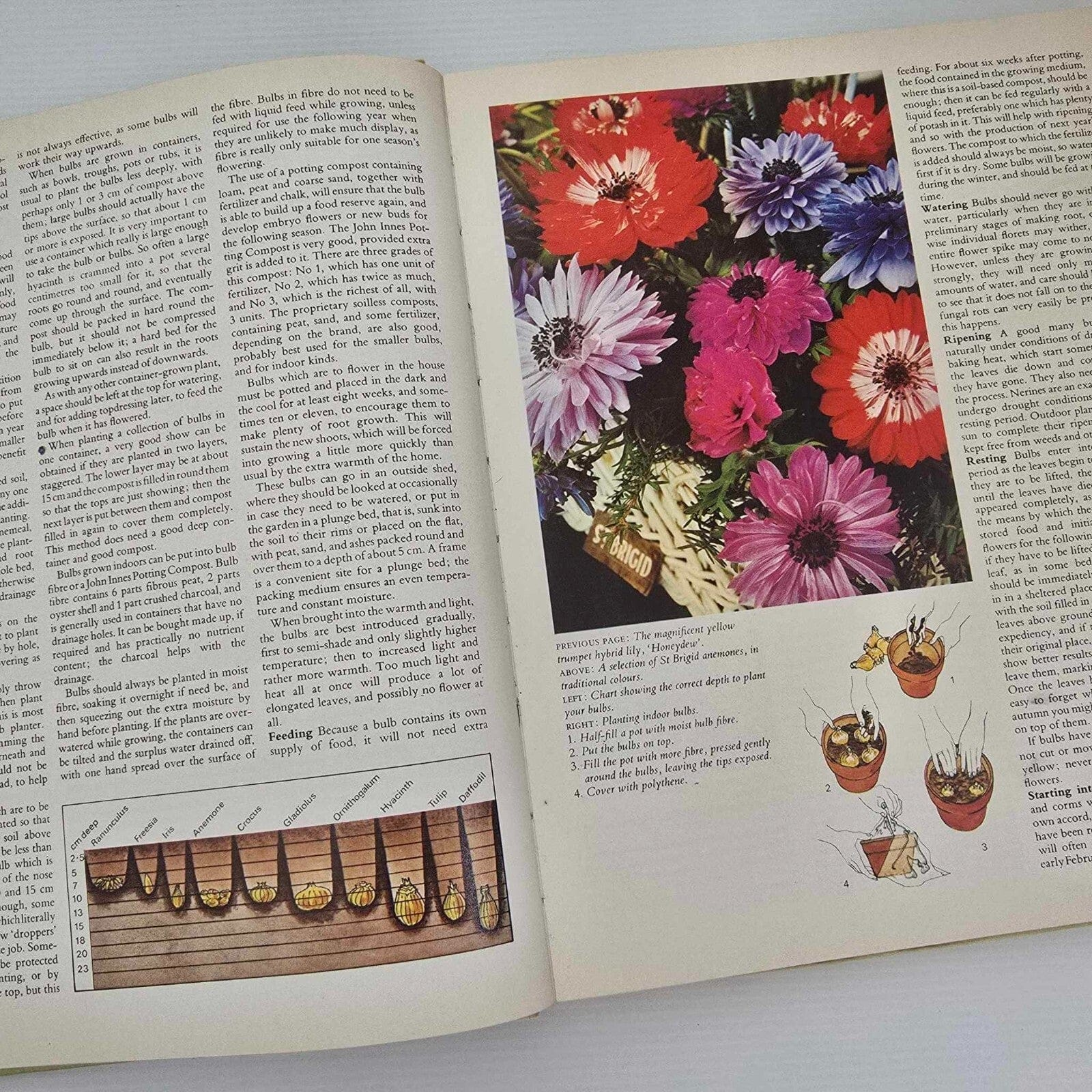 Alona.com.au The Australian All Colour Gardening Book by Shirley Stackhouse, Hardcover 1978