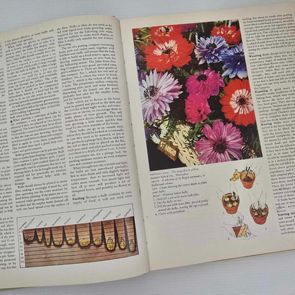 Alona.com.au The Australian All Colour Gardening Book by Shirley Stackhouse, Hardcover 1978