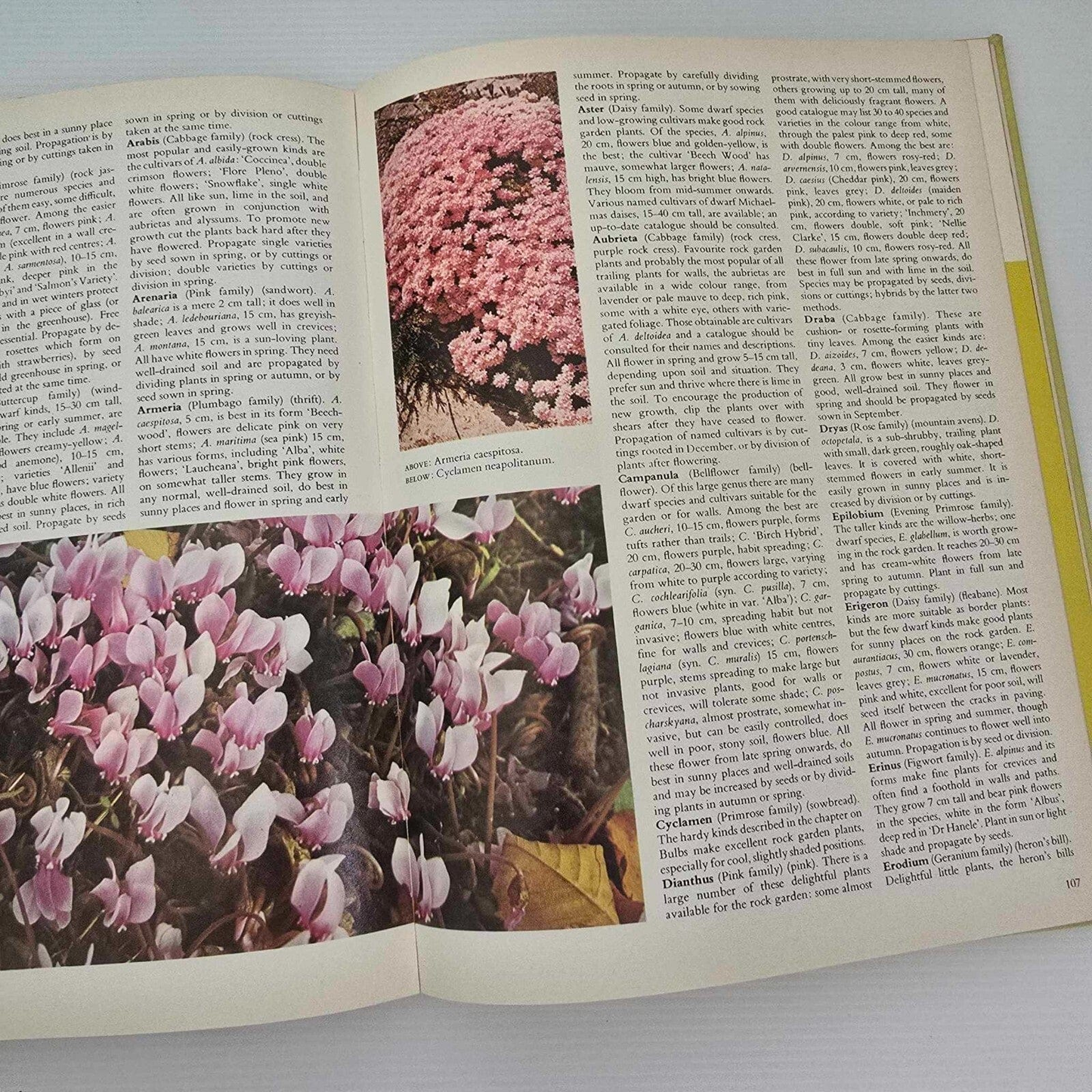 Alona.com.au The Australian All Colour Gardening Book by Shirley Stackhouse, Hardcover 1978